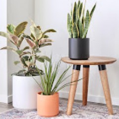 Seller Image
